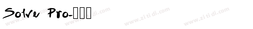 Solve Pro字体转换
